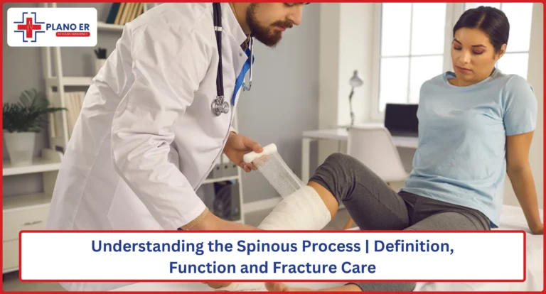 Understanding the Spinous Process | Definition, Function and Fracture Care