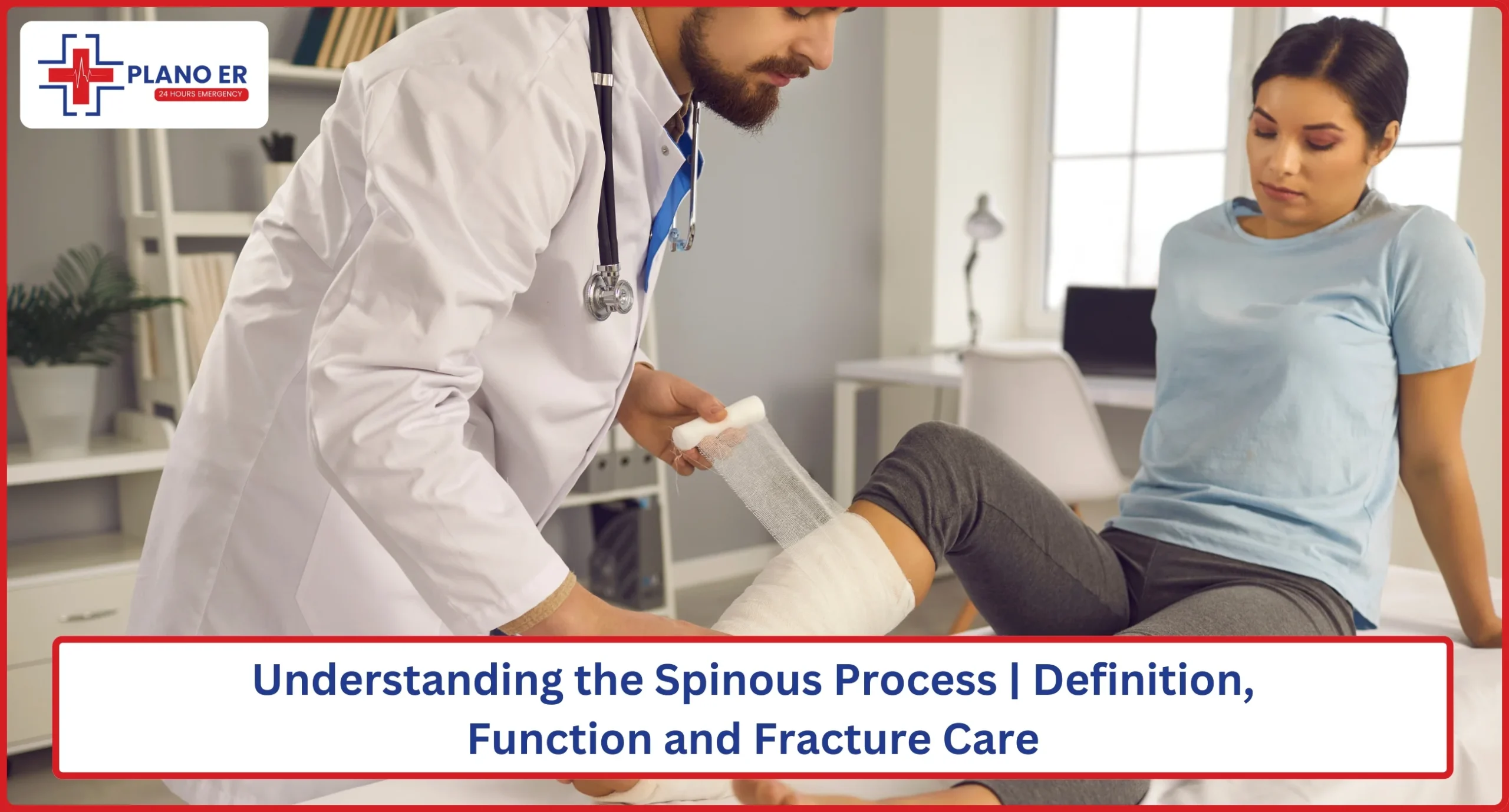 Understanding the Spinous Process